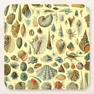 Dessous-de-verre Carré En Papier Impression vintage de coquillages d'Adolphe Millot
