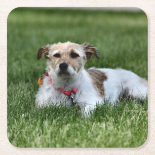 Dessous-de-verre Carré En Papier Jack