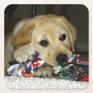 Dessous-de-verre Carré En Papier Jaune de laboratoire LR avec jouet