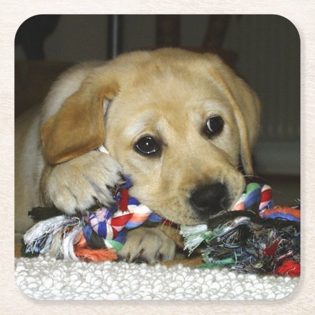 Dessous-de-verre Carré En Papier Jaune de laboratoire LR avec jouet (Devant)