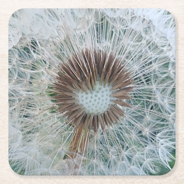 Dessous-de-verre Carré En Papier Joli Dandelion blanc (Devant)