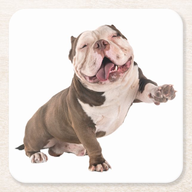 Dessous-de-verre Carré En Papier Jote English Bulldog Cadeaux Amoureux des chiens c (Devant)