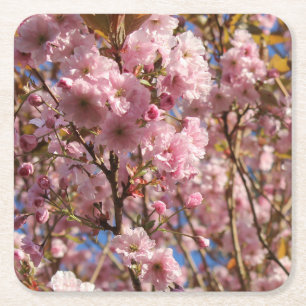 Dessous-de-verre Carré En Papier La couleur printanière lumineuse de la floraison d