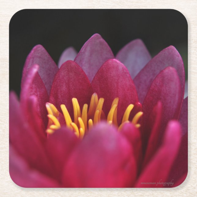 Dessous-de-verre Carré En Papier La Lys D'Eau (Devant)