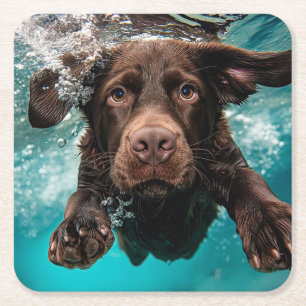 Dessous-de-verre Carré En Papier Labrador chocolat joueur nageant sous l'eau