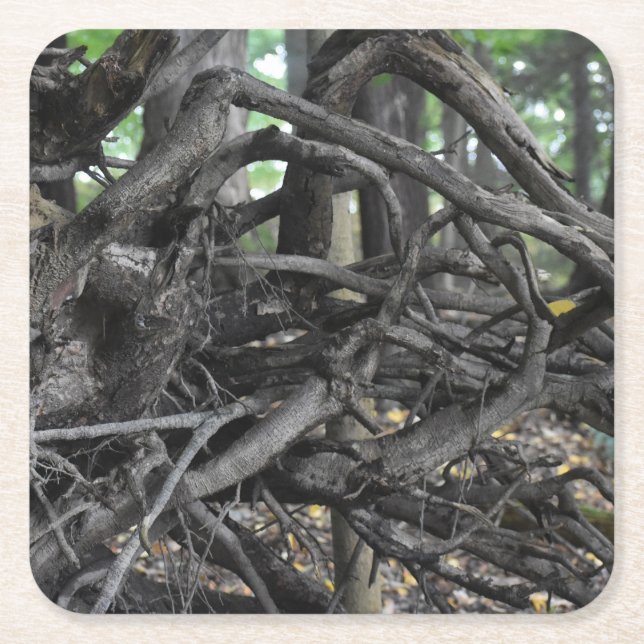 Dessous-de-verre Carré En Papier L'amour d'un arbre tombé (Devant)