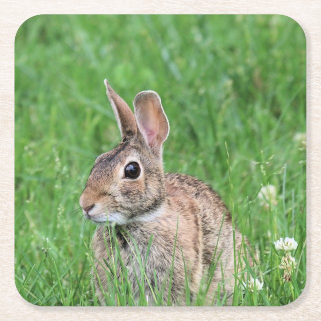 Dessous-de-verre Carré En Papier Lapin (Devant)