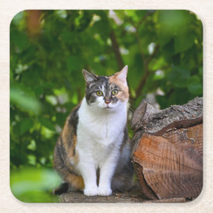 Dessous-de-verre Carré En Papier Le Chat