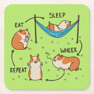 Dessous-de-verre Carré En Papier Le cycle de vie d'un cochon de Guinée