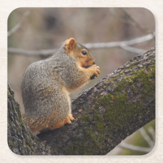 Dessous-de-verre Carré En Papier Le prix de l'écureuil