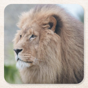 Dessous-de-verre Carré En Papier L'Embrace du lion
