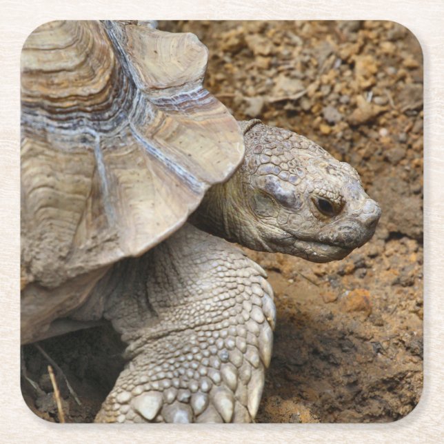 Dessous-de-verre Carré En Papier Lent (Devant)