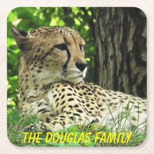 Dessous-de-verre Carré En Papier Léopard rapproché