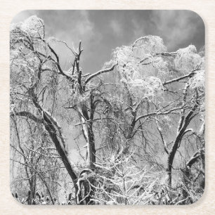 Dessous-de-verre Carré En Papier les arbres portent l'hiver