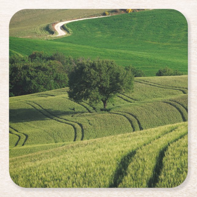 Dessous-de-verre Carré En Papier Lignes sinueuses dans les dessous de verre verts (Devant)