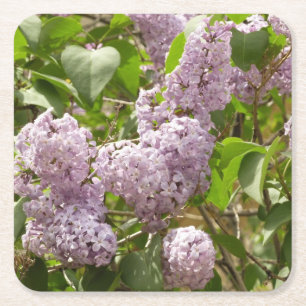 Dessous-de-verre Carré En Papier Lilac Bush Belles fleurs de printemps violettes