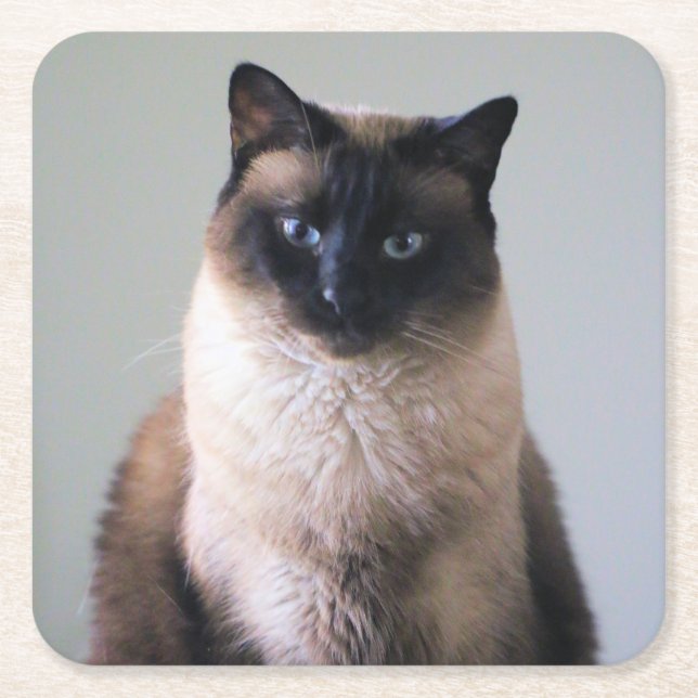 Dessous-de-verre Carré En Papier Lily (Devant)