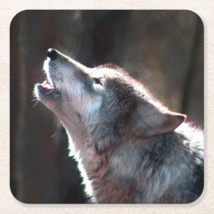 Dessous-de-verre Carré En Papier Loup hurlant loup solitaire
