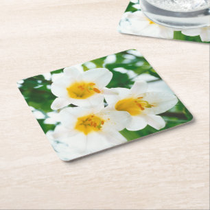 Dessous-de-verre Carré En Papier Lys blancs - Lilium Flower candidum