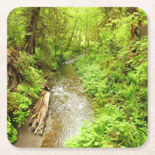 Dessous-de-verre Carré En Papier Man Creek II perdu dans le parc national Redwood