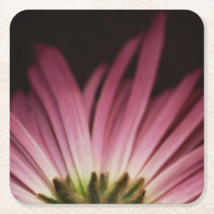 Dessous-de-verre Carré En Papier Marguerite pourpre fanée