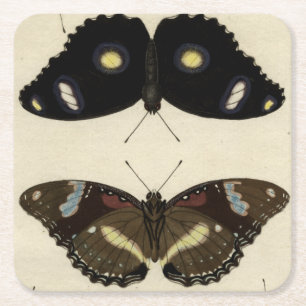 Dessous-de-verre Carré En Papier Mélange coloré de papillon sur l'arrière - plan