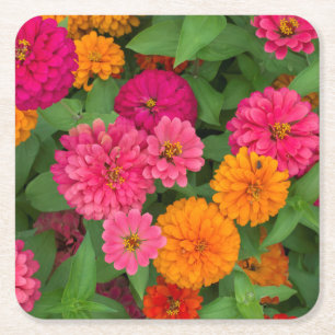 Dessous-de-verre Carré En Papier Michigan, Dearborn, Greenfield Village. Fermer