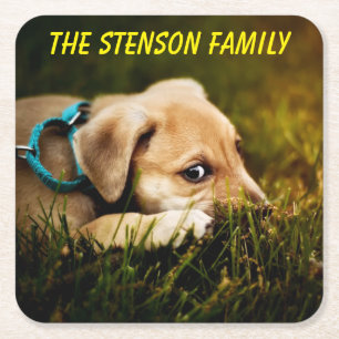 Dessous-de-verre Carré En Papier Mignonne Chien Chien Chien Chien Chien Gros