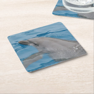 Dessous-de-verre Carré En Papier Moment calme de dauphin sur de l'eau bleue ensolei