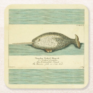 Dessous-de-verre Carré En Papier Narwhal Antique Baleine Aquarelle Art scientifique
