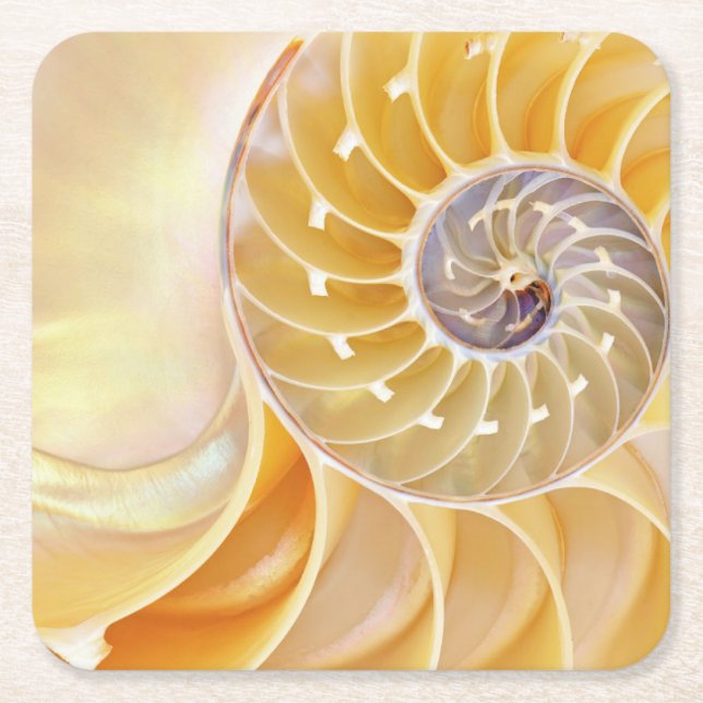 Dessous-de-verre Carré En Papier Nautilus (Devant)