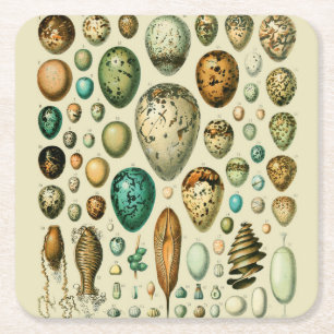 Dessous-de-verre Carré En Papier Œufs d'oiseaux vintage Art de l'œuf de poisson fra