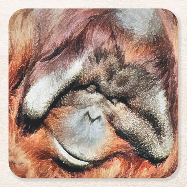 DESSOUS-DE-VERRE CARRÉ EN PAPIER ORANGUTANS (Devant)