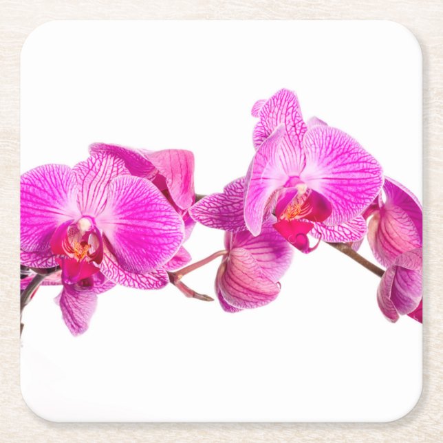 Dessous-de-verre Carré En Papier Orchidée (Devant)