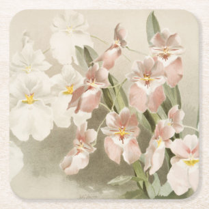 Dessous-de-verre Carré En Papier Orchidées blanches Fleur Vintage vieille illustrat
