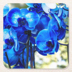 Dessous-de-verre Carré En Papier Orchidées bleues