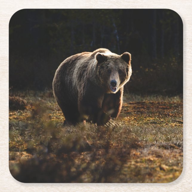 Dessous-de-verre Carré En Papier Ours (Devant)