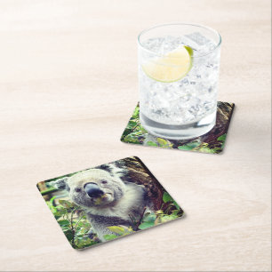 Dessous-de-verre Carré En Papier Ours de Koala