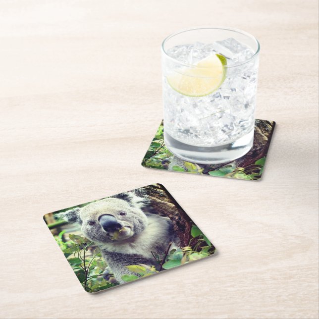 Dessous-de-verre Carré En Papier Ours de Koala (En situation)