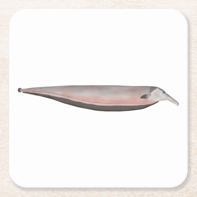 Dessous-de-verre Carré En Papier Oxyrhynchus Knifefish (corégone-fantôme) (Devant)