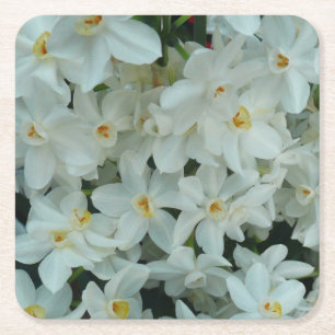 Dessous-de-verre Carré En Papier Paperwhite Narcissus Fleurs blanches délicates