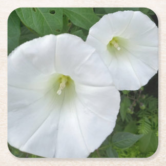 Dessous-de-verre Carré En Papier Papier de fleur blanche Coster