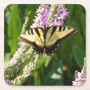 Dessous-de-verre Carré En Papier Papillon à queue d'hirondelle sur des fleurs sauva