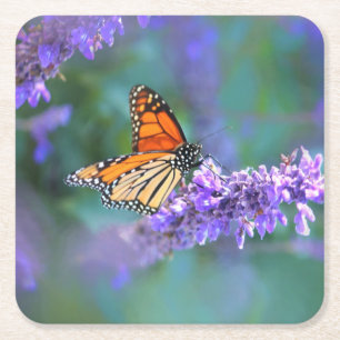 Dessous-de-verre Carré En Papier Papillon Monarque sur Fleur violette lilas