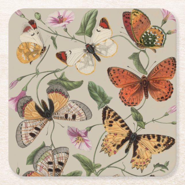 Dessous-de-verre Carré En Papier Papillon Moth Nature Collection Dessin (Devant)