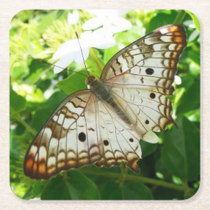 Dessous-de-verre Carré En Papier Papillon sur Jasmin Photographie de la Nature Trop