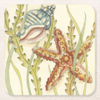 Partie Shell multicolore