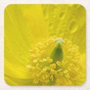 Dessous-de-verre Carré En Papier Pavot jaune oriental