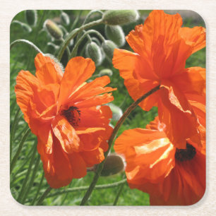 Dessous-de-verre Carré En Papier Pavots Orientaux Lune de récolte orange