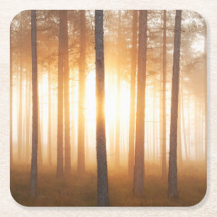 Dessous-de-verre Carré En Papier Paysage de forêt de pin